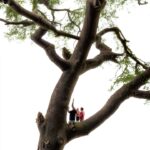 C S Nicholls Kenya History Kindle Book English Language-0