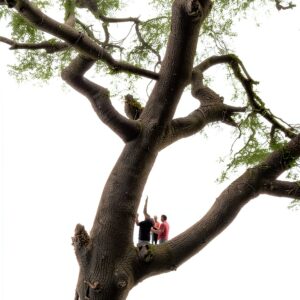 C S Nicholls Kenya History Kindle Book English Language-0